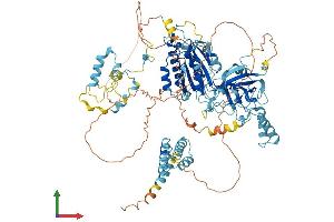 AlphaFold protein structure predicition of Human Recombinant INTS6L Protein, UniprotID Q5JSJ4