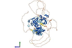 Protein Structure (PS) image for L(3)mbt-Like 1 (L3MBTL1) (AA 1-826) protein (His tag) (ABIN7561864)