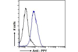 ABIN185420 Flow cytometric analysis of paraformaldehyde fixed U2OS cells (blue line), permeabilized with 0. (PPY Antikörper  (Internal Region))