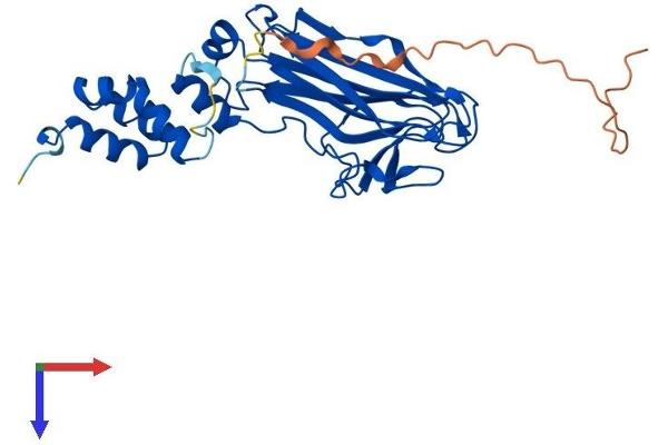 FBXO6 Protein (AA 1-295) (His tag)