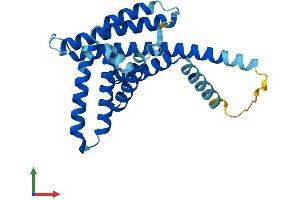 AlphaFold protein structure predicition of Mouse Recombinant Pex11a Protein, UniprotID Q9Z211