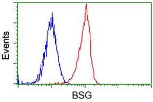 Image no. 3 for anti-Basigin (Ok Blood Group) (BSG) antibody (ABIN1498013) (CD147 Antikörper)