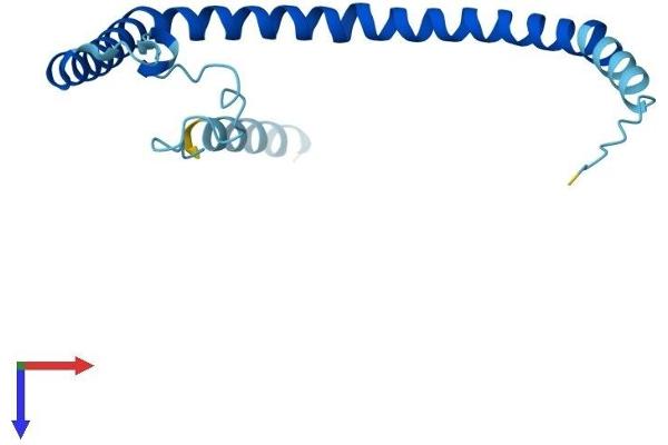 Caveolin 3 Protein (CAV3) (AA 1-151) (His tag)