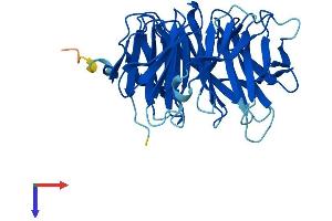 GNB1L Protein (AA 1-326) (His tag)