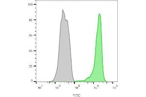 Flow cytometry analysis of lymphocyte-gated PBMCs unstained (gray) or stained with CF488A-labeled CD45 monoclonal antibody (2B11+PD7/26) (green). (CD45 Antikörper)