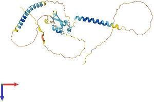 LYSMD3 Protein (AA 1-306) (His tag)
