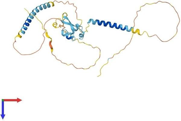LYSMD3 Protein (AA 1-306) (His tag)