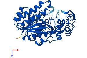 GALE Protein (AA 1-348) (His tag)