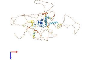 FBXO34 Protein (AA 1-695) (His tag)
