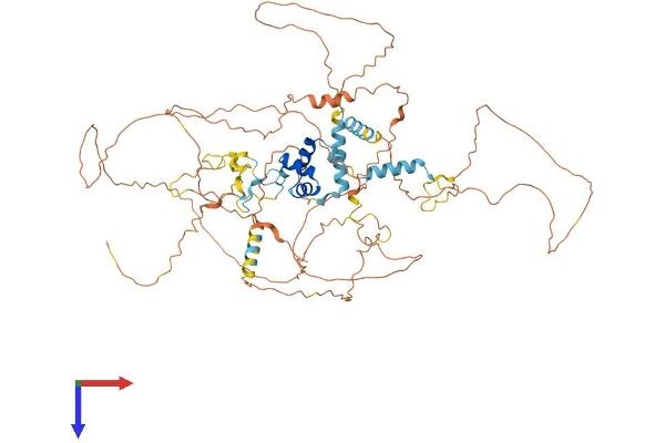 FBXO34 Protein (AA 1-695) (His tag)