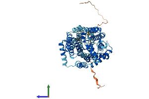 Protein Structure (PS) image for Solute Carrier Family 7 (Amino Acid Transporter, L-Type), Member 8 (SLC7A8) (AA 1-531) protein (His tag) (ABIN7565152)