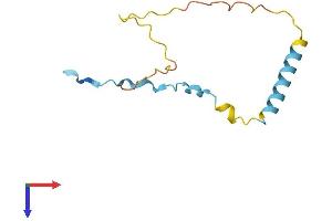 DAPL1 Protein (AA 1-107) (His tag)