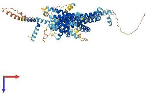 STRA6 Protein (AA 1-670) (His tag)