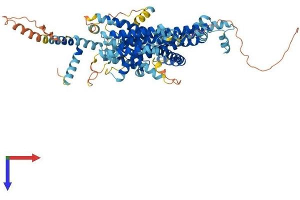 STRA6 Protein (AA 1-670) (His tag)