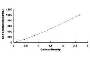 ELISA image for C-Reactive Protein (CRP) ELISA Kit (ABIN414320)