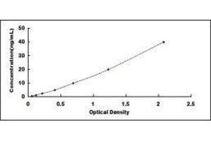 Crystallin, alpha B (CRYAB) ELISA Kit