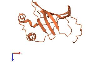 AlphaFold protein structure predicition of Human Recombinant HEXA-AS1 Protein, UniprotID Q9H8Q6