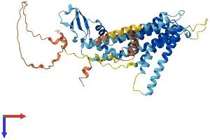 TMEM39B Protein (AA 1-492) (His tag)