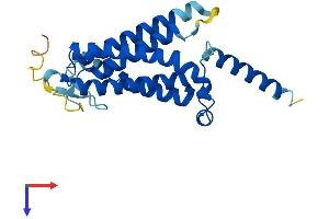 DOLPP1 Protein (AA 1-238) (His tag)