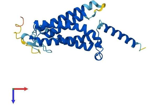 DOLPP1 Protein (AA 1-238) (His tag)