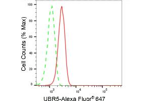 Flow cytometric analysis of UBR5 expression in HT- cells using UBR5 antibody (ABIN7800719), 1:2,000).