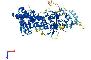 DALRD3 Protein (AA 1-543) (His tag)