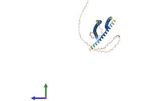 Protein Structure (PS) image for Keratin 13 (KRT13) (AA 1-458) protein (His tag) (ABIN7548676)