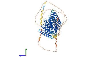 Protein Structure (PS) image for Importin 9 (IPO9) (AA 1-653) protein (His tag) (ABIN7563508)
