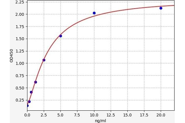 APOC4 ELISA Kit