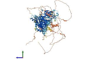 Protein Structure (PS) image for PITPNM Family Member 3 (PITPNM3) (AA 1-974) protein (His tag) (ABIN7563719)