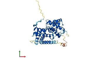 Protein Structure (PS) image for Cyclin D1 (CCND1) (AA 1-295) protein (His tag) (ABIN7553261)