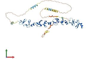 AlphaFold protein structure predicition of Mouse Recombinant Tgfb1i1 Protein, UniprotID Q62219