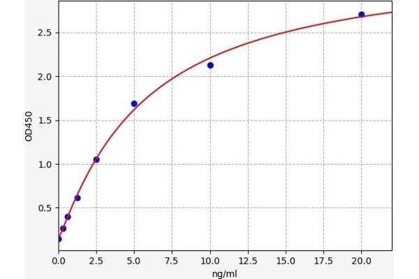 TBC1D1 ELISA Kit