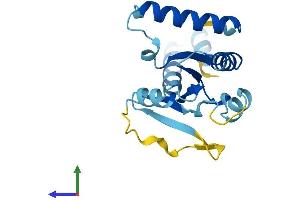 Protein Structure (PS) image for Immunity-Related GTPase Family, M (IRGM) (AA 1-181) protein (His tag) (ABIN7548647)