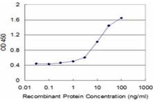 Detection limit for recombinant GST tagged CACNA1F is approximately 0. (CACNA1F Antikörper  (AA 1878-1977))