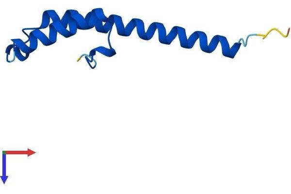 C16orf61 Protein (AA 1-79) (Fc Tag)