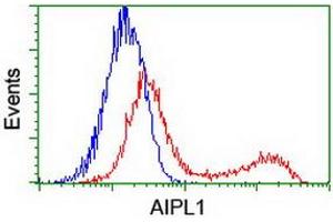 HEK293T cells transfected with either RC204079 overexpress plasmid (Red) or empty vector control plasmid (Blue) were immunostained by anti-AIPL1 antibody (ABIN2455043), and then analyzed by flow cytometry. (AIPL1 Antikörper)