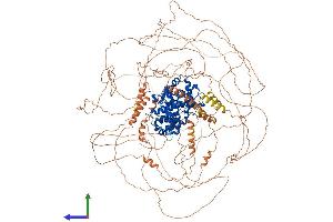 Protein Structure (PS) image for Cyclin B3 (CCNB3) (AA 1-1396) protein (His tag) (ABIN7564312)