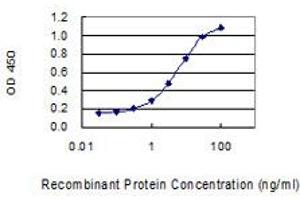 Detection limit for recombinant GST tagged FAM35A is 0. (FAM35A Antikörper  (AA 1-835))