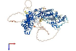 MGEA5 Protein (AA 1-916) (His tag)