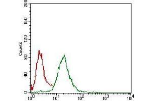 Flow cytometric analysis of Hela cells using NBN mouse mAb (green) and negative control (red). (Nibrin Antikörper  (AA 467-615))