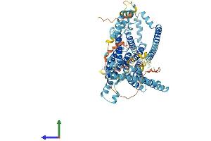 Protein Structure (PS) image for Transmembrane Channel-Like 8 (TMC8) (AA 1-726) protein (His tag) (ABIN7544461)