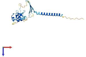 CIDEA Protein (AA 1-217) (His tag)