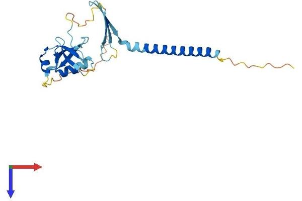CIDEA Protein (AA 1-217) (His tag)
