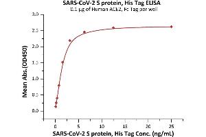 Immobilized Human ACE2, Fc Tag (ABIN6952459,ABIN6952465) at 1 μg/mL (100 μL/well) can bind SARS-CoV-2 S protein, His Tag (ABIN6973219) with a linear range of 0. (SARS-CoV-2 Spike Protein (P.1 - gamma) (His tag))