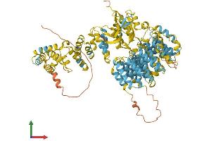 AlphaFold protein structure predicition of Mouse Recombinant Psmd2 Protein, UniprotID Q8VDM4