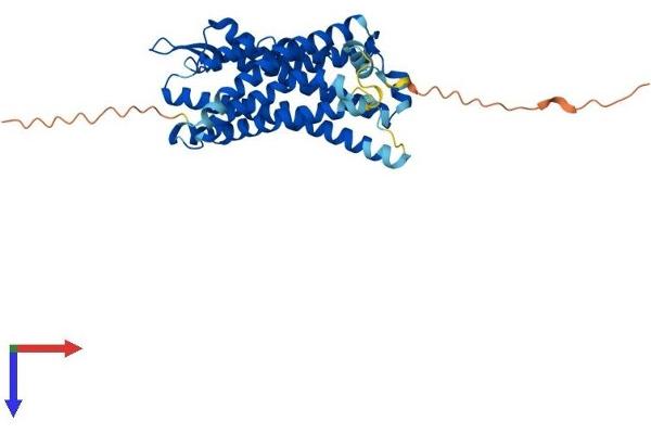 FPR2 Protein (AA 1-351) (His tag)