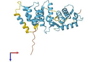 SCGN Protein (AA 1-276) (His tag)
