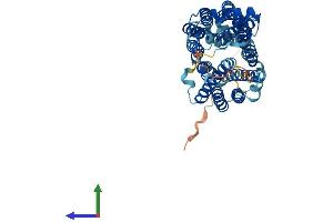 AlphaFold protein structure predicition of Human Recombinant SVOPL Protein, UniprotID Q8N434