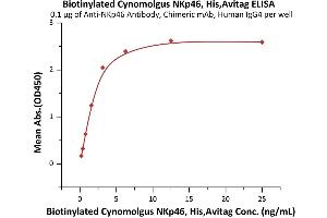 Immobilized A Antibody, Chimeric mAb, Human IgG4 at 1 μg/mL (100 μL/well) can bind Biotinylated Cynomolgus NKp46, His,Avitag (ABIN6973180) with a linear range of 0.
